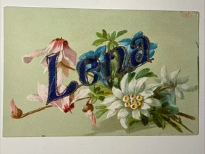 Postal antigua con nombre de 1900 LENA en relieve flores Edelweiss florales de colección - Imagen 1 de 9