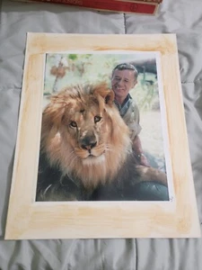 TV GUIDE Cover Portrait 1966 DAKTARI Clarence Cross Eyed Lion Marshall Thompson - Bild 1 von 9