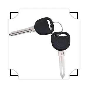 2 New Ignition Logo Key Uncut Blade Blank For GM Chevy Truck Van B102-P - Picture 1 of 4