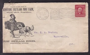 SUNNYSIDE SHETLAND PONY FARM 1905, MONMOUTH, ILLINOIS - Picture 1 of 2