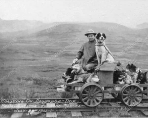 Dogmobile To Alaska 1912 Vintage 8x10 Reprint Of Old Photo - Picture 1 of 1