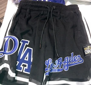 Pro Standard Los Angeles Dodgers 2020 World Series Embroidered Men's Size L - Picture 1 of 11