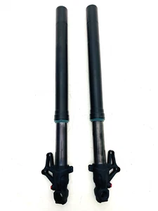 FORCELLE SACHS BENELLI TRE K AMAZONAS FRONT FORKS BENELLI CD 0311269005000 6000 - Picture 1 of 6