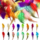800Pcs Colorful Feathers 16 Colors Craft Feathers Bulk Chicken Feathers
