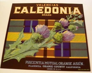 50er Jahre Caledonia Blumendistel schottisches Kistenetikett - Bild 1 von 1