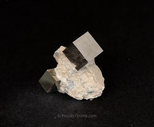 2 Pyrite Cubes in Matrix La Rioja Spain 6456 - Picture 1 of 2