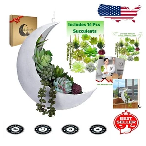 Unique Crescent Moon Planter with 14 Artificial Plants - Gothic Bohemian Style - Picture 1 of 10