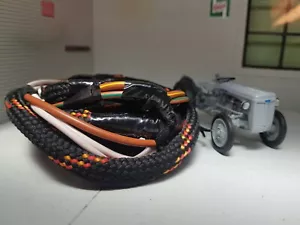 Grey Ferguson TE20 TEA20 TED20 Braided Wiring Harness Loom 829700 829701 - Picture 1 of 4