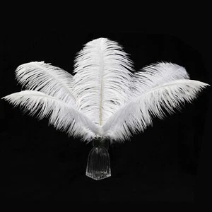 12 Pack 12-14 Inch Ostrich Feathers for Wedding Centerpieces Flower Arrangement - Picture 1 of 9