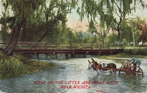 WICHITA KS KANSAS DONKEY CART IN ARKANSAS RIVER 1909 POSTCARD 090924 T - Picture 1 of 2