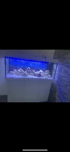 Süßwasser aquarium komplett set 300 l - Bild 1 von 1
