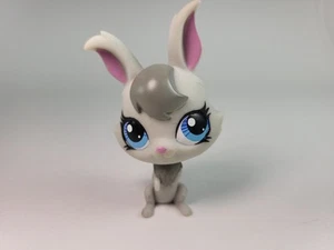 Littlest Pet Shop LPS 3293 Rabbit Bunny Grey Sticker Eye Gray - Picture 1 of 6
