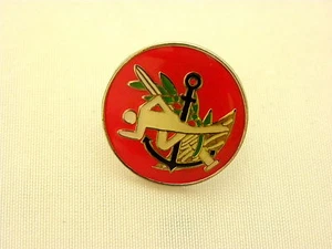 Israel Army IDF genuine authentic unit pin worldwide shipping - Picture 1 of 2