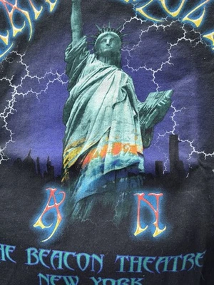 Camiseta grande vintage 2005 The Allman Brothers Band gira de verano NYC Beacon Theatre Foto 1 de 4