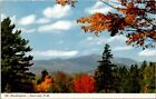 Mt Washington Intervale New Hampshire Vintage Postcard Spc10