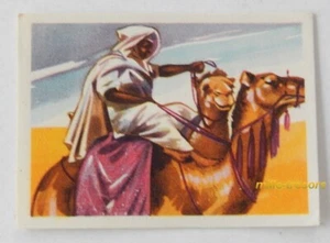 Image CHROMO Chocolat MARTOUGIN N°N8 pour Album Chasseurs de Fauves - Picture 1 of 2