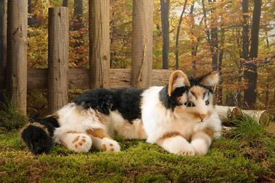 Kösener Katze 7380 Glückskatze (mehrfarbig) schwarz Weiss braun liegend 69 cm - Bild 1 von 4