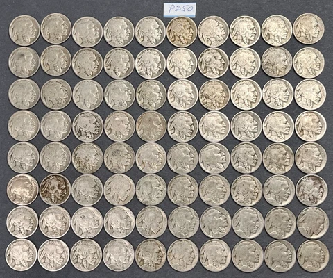Lot of 80 Buffalo Nickels Circulated Coins | 2 Rolls of PARTIAL DATES | Lot P250 Cover