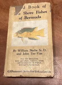 Field Book of the Shore Fishes of Bermuda -William Beebe and John Tee-Van-1933 - Picture 1 of 8
