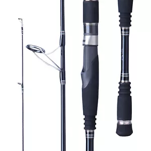 Tairyo Nano Speed Power Spin rod Fuji guides reel 2pcs 6'7" 8-12kg TNSPS2002H - Picture 1 of 7