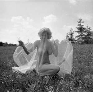 Akt Frau unter Schleier, Feld, ausgefallen, , 70er Jahre Vintage Fine Art Negativ! - Bild 1 von 2