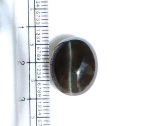 12.60 Ct 1 Pieces Scapolite Cats Eye Natural Dark Color Loose Gemstone - Picture 1 of 4