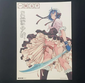 Ikki Tousen SHIMEI RYOMOU 010 A3 duplicazione originale quadro arte poster anime - Foto 1 di 7