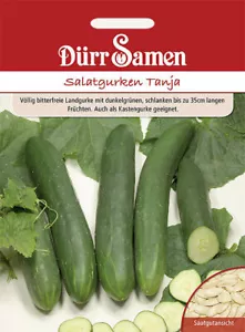 Salatgurken Tanja Samen von Dürr Samen Salatgurkensamen ca 50 Korn - Bild 1 von 1