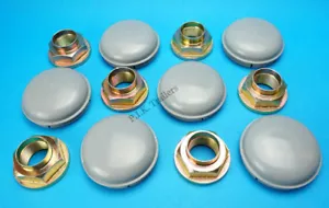 6 tapacubos de rueda y tuercas de estaca grises 76 mm para remolque de triple eje IFOR WILLIAMS - Imagen 1 de 1