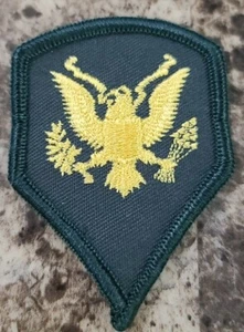 2 - US Army 1955 Specialist Third Class E-4 Rank Patch Eagle Holding Arrows - weiblich - Bild 1 von 3