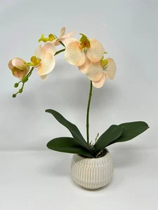 14" Artificial Pale Blush PEACH ORCHID faux Silk plant potted in Cream-Gray Cera - Picture 1 of 8