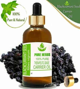 Pure Herbs Blackcurrant seed 100% Pure & Natural Ribes nigrum Carrier Oil kN758 - Picture 1 of 6