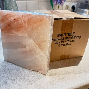 6 Steinsalzplatten für Grill BBQ oder als Bauelement, 20x20x2,5 cm, a ca. 2,4 Kg - Bild 1 von 5