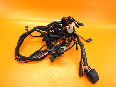 Chicote de fios 2009 - 2021 Harley Davidson ferro XL883N 883 fabricante de equipamento original - Imagem 1 de 4