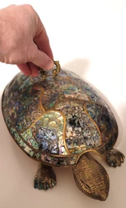 RAR Vintage Abalone und Messing Schildkröte Serviertablett mit Deckel (ca. 15 lang) - Bild 1 von 18