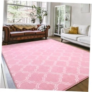 Fluffy Indoor Trellis Rug, Soft Moroccan Home Rugs 4 x 6 Feet Pink and White - Picture 1 of 7
