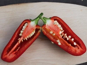 Jalapeño Deadpool Chile - Pimienta - 5+ semillas - semillas - ch 245 - Imagen 1 de 1