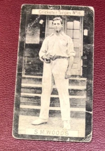 TARJETA DE CIGARRILLO CLARKE'S CRICKETER SERIE S M WODS OF SOMERSET EMITIDA 1901 NO16 - Imagen 1 de 2