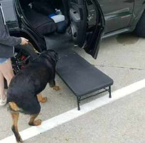 Original 4 Paws Portable Folding Dog Platform - The Alternative to Steps & Ramps - Picture 1 of 24