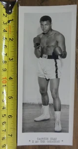 Young Cassius Clay Muhamad Ali "I Am The Greatest" Promo Photo Unusual Size - Picture 1 of 5