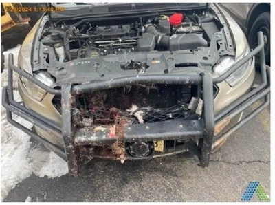 Luz trasera de pasajero con paquete de policía para 13-19 TAURUS 4219890 Foto 1 de 4