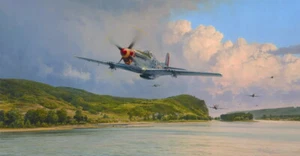 Robert Taylor Air Superiority P-51 Mustang ACES EDITION 357th Fighter Group MIRAR - Imagen 1 de 1