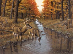 Painting By Numbers Symonds Creek - Picture 1 of 1