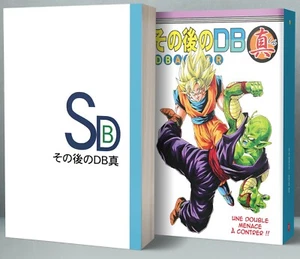 Dragon Ball DB AFTER Tome 11 Manga Traduits en Français - Foto 1 di 6