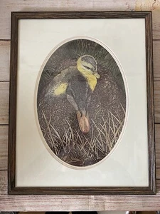 Vtg Lawrence Snyder Original Bird & Decoy Etchings Matted Framed Signed Print - Picture 1 of 7