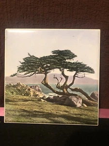 Vintage Trivet / Tile hand colored bonsai tree cork back Delano studio m - Picture 1 of 7