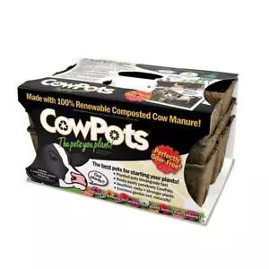 CowPots #3 SixCell tray 20 trays = 120 planting cells - Picture 1 of 1