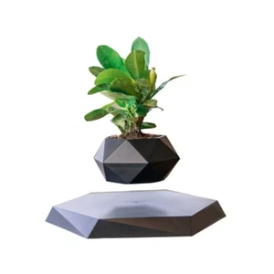 Maglev Topfpflanze Spezial Blumentopf Kreativ Bonsai Geschenk Wohnzimmer Deko - Bild 1 von 15