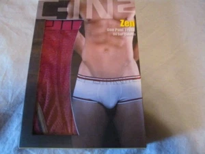 C-IN2 Zen Punt trunk briefs Large violet - Picture 1 of 4
