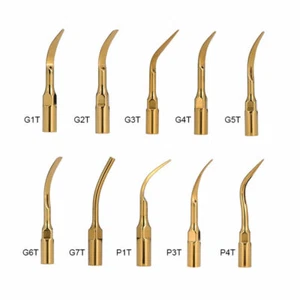 1 Pc Dental Ultrasonic Scaler Perio Scaling Tip Fit EMS/WOODPECKER G/P/E Types - Picture 1 of 20